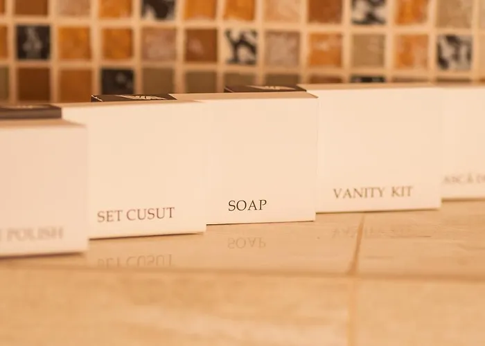 Boutique Arnica Guest house Brasov