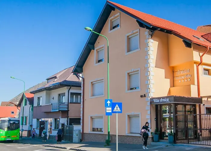 Guest house Boutique Arnica Brasov