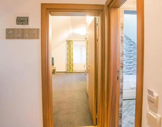 Boutique Arnica 4* 布拉索夫